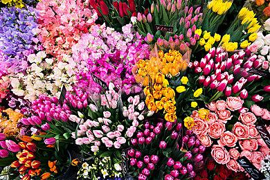 裁员裁到大动脉？ Xbox主机聊天与邀请功能失效